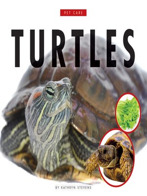 Turtles - ebook